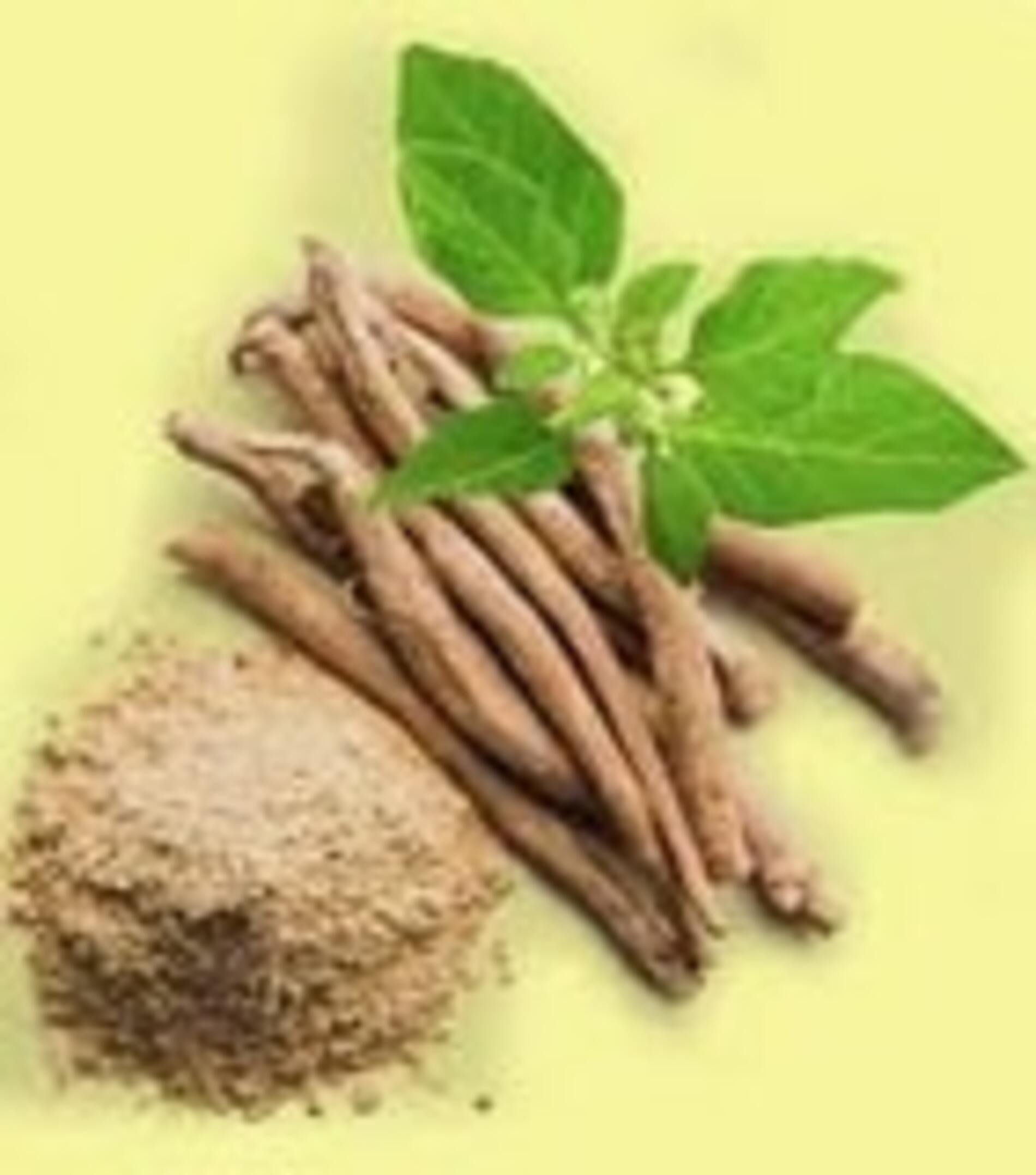 SENSITIZERS