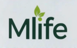 M Life